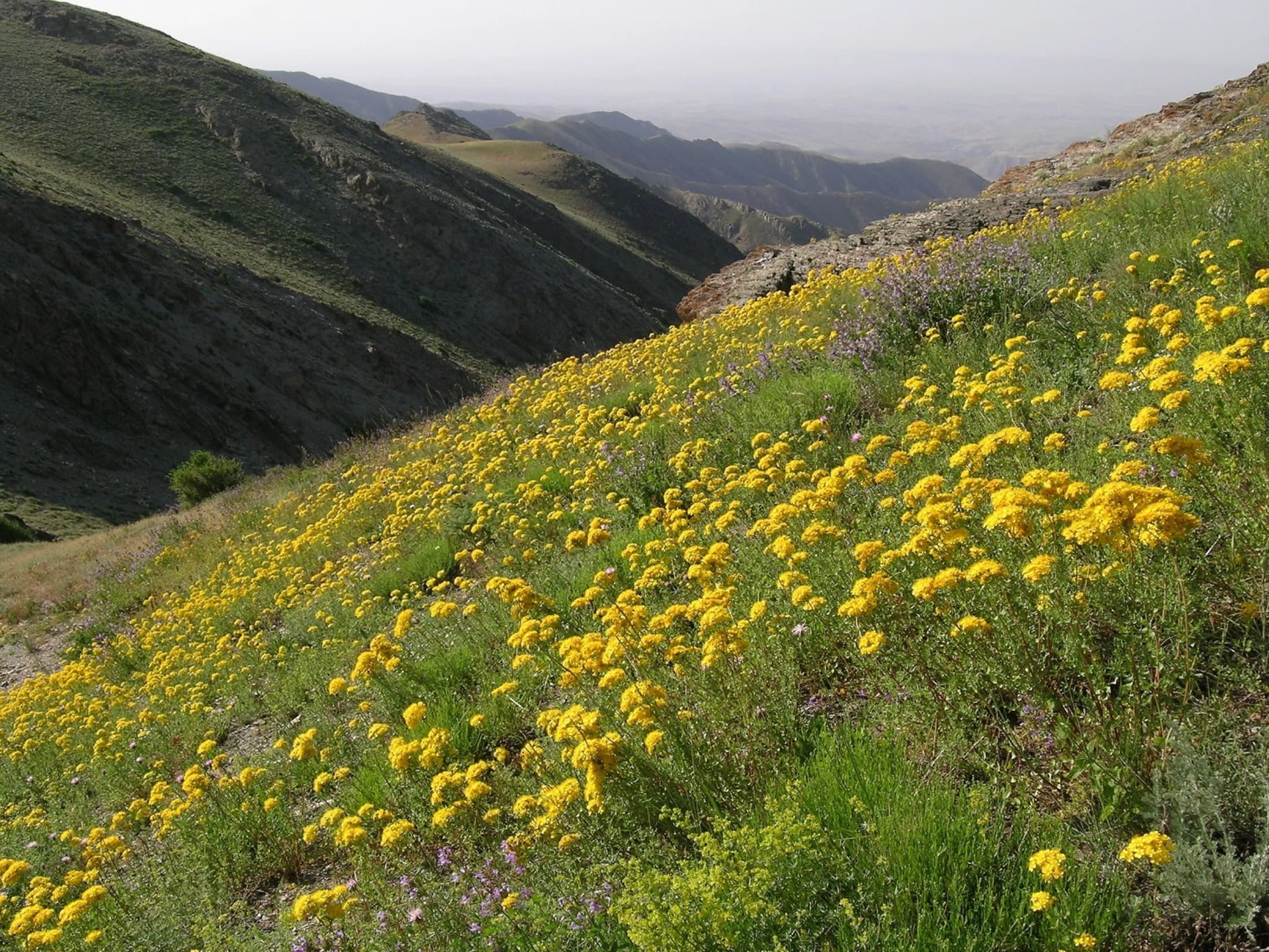 Nature 2